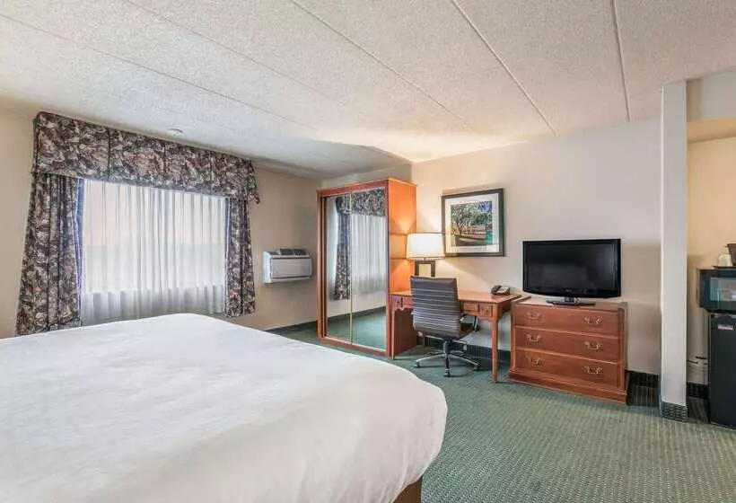 Отель Americinn & Suites By Wyndham Baraboo Event Center