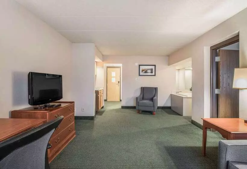 Отель Americinn & Suites By Wyndham Baraboo Event Center