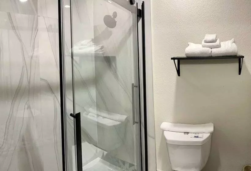 Hotel Days Inn By Wyndham Arlington