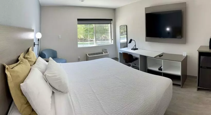 Hotel Days Inn By Wyndham Arlington