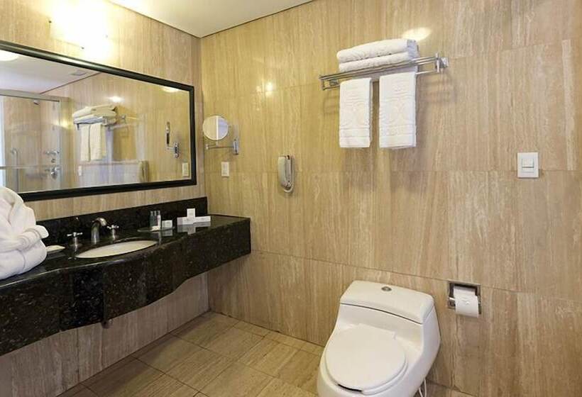 هتل Eurobuilding Express Maracay