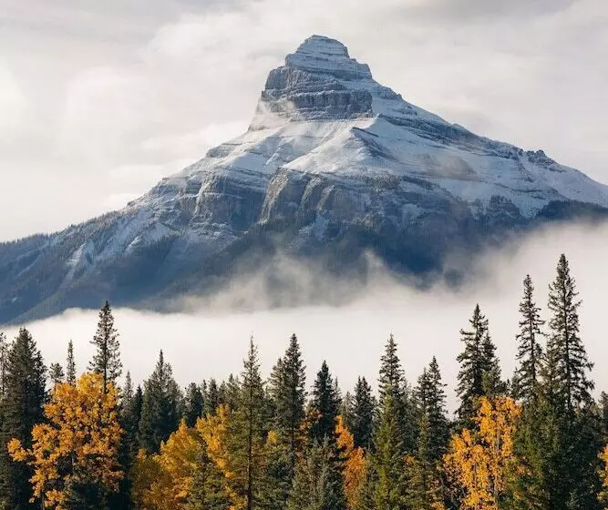 ホテル Johnston Canyon Lodge And Bungalows