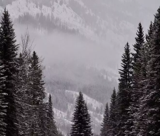 ホテル Johnston Canyon Lodge And Bungalows