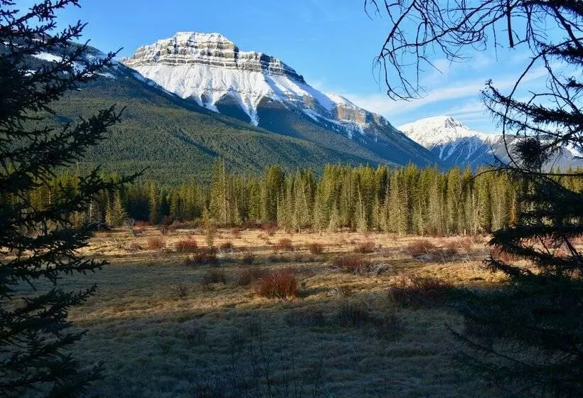 ホテル Johnston Canyon Lodge And Bungalows