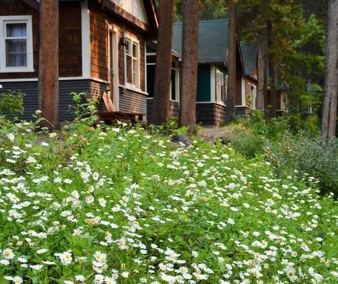 ホテル Johnston Canyon Lodge And Bungalows
