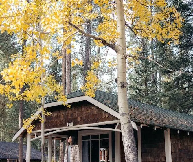 ホテル Johnston Canyon Lodge And Bungalows