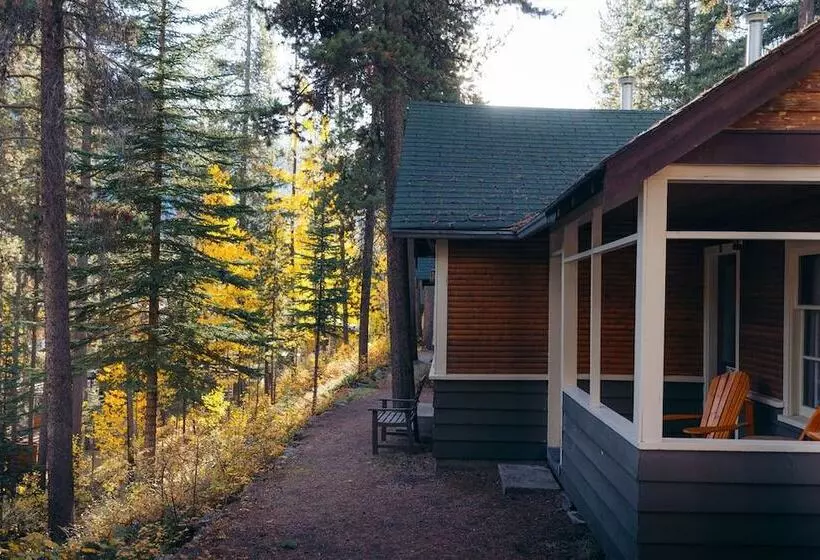 ホテル Johnston Canyon Lodge And Bungalows