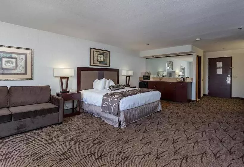 酒店 Shilo Inns Idaho Falls