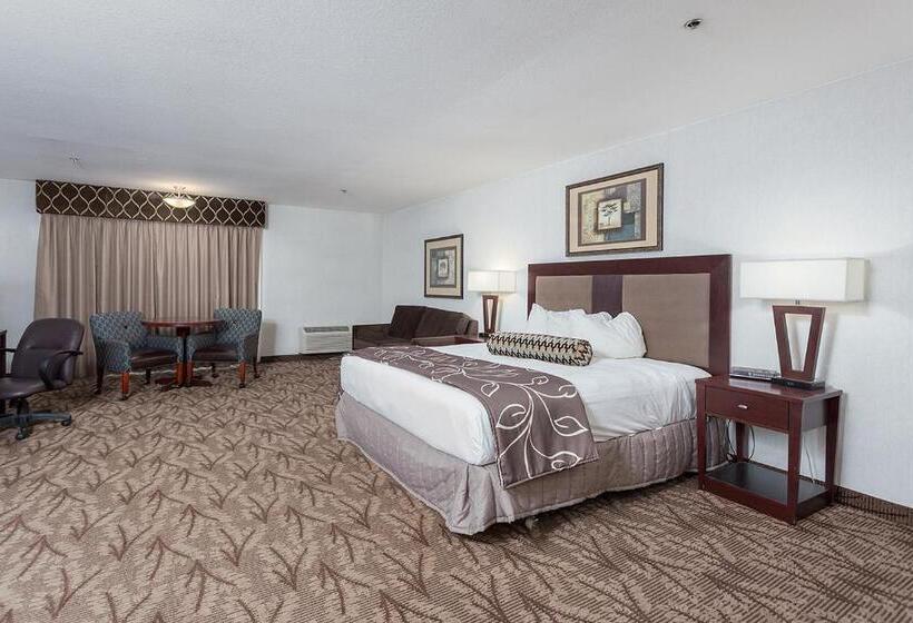 Otel Shilo Inns Idaho Falls