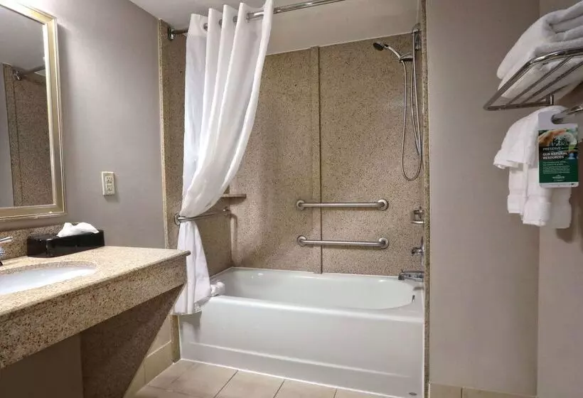 酒店 Wingate By Wyndham Savannah Pooler