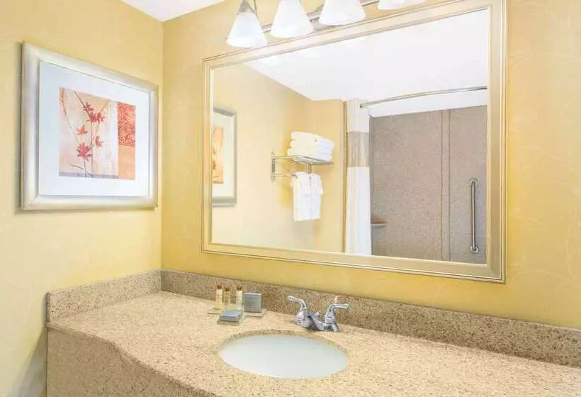 酒店 Wingate By Wyndham Savannah Pooler