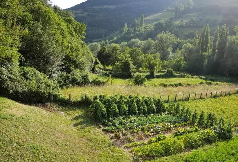 ホテル Agriturismo Il Casale Pica