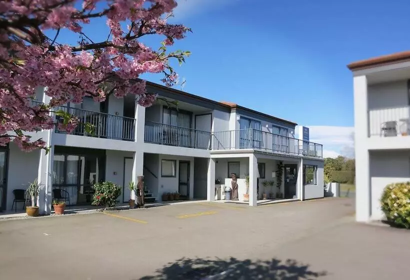 Отель Asure Ascot Motor Inn