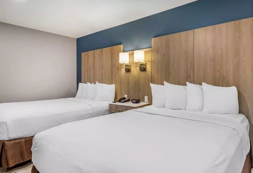 酒店 Best Western Plus Edinburg Inn & Suites