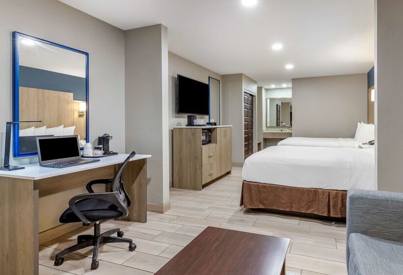 ホテル Best Western Plus Edinburg Inn & Suites