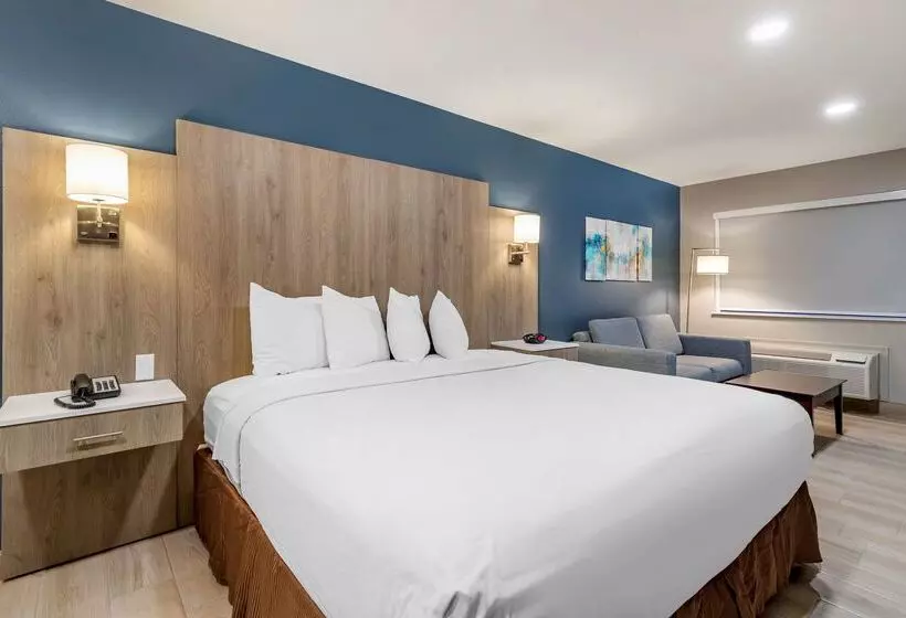 酒店 Best Western Plus Edinburg Inn & Suites