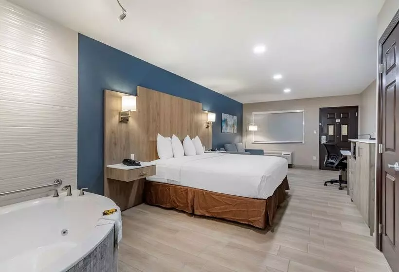 酒店 Best Western Plus Edinburg Inn & Suites