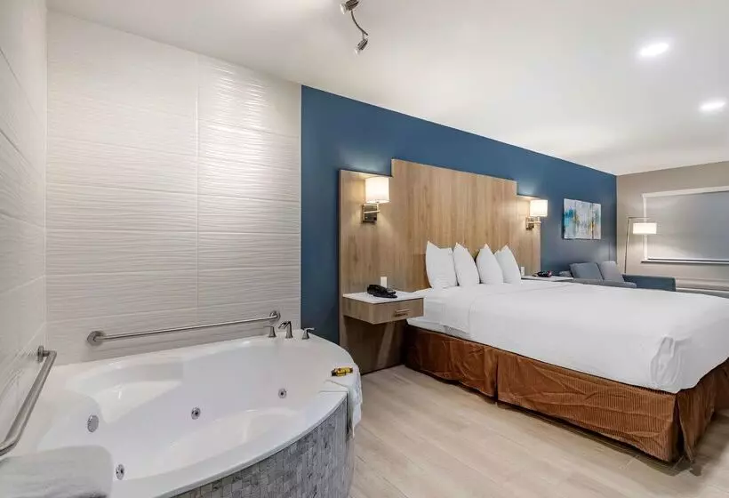 酒店 Best Western Plus Edinburg Inn & Suites