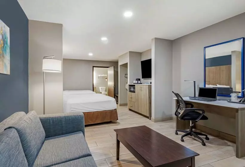 酒店 Best Western Plus Edinburg Inn & Suites