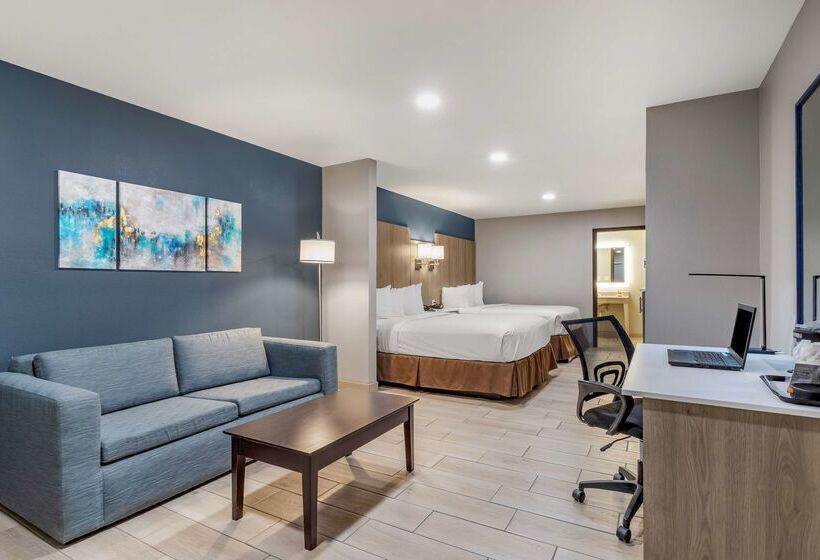 ホテル Best Western Plus Edinburg Inn & Suites