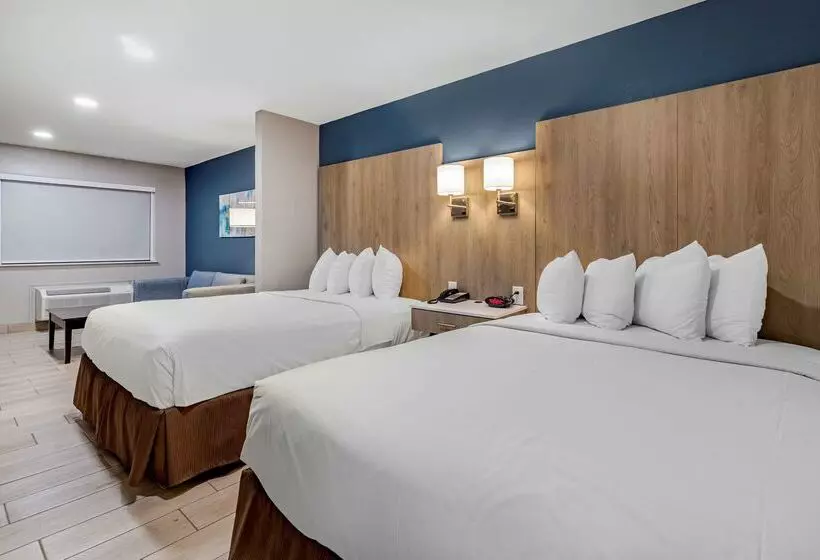 酒店 Best Western Plus Edinburg Inn & Suites