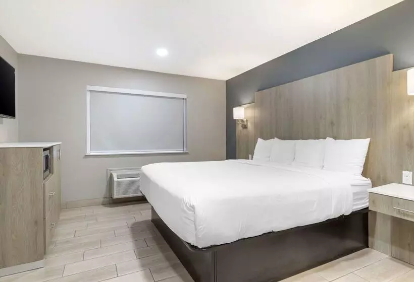 酒店 Best Western Plus Edinburg Inn & Suites