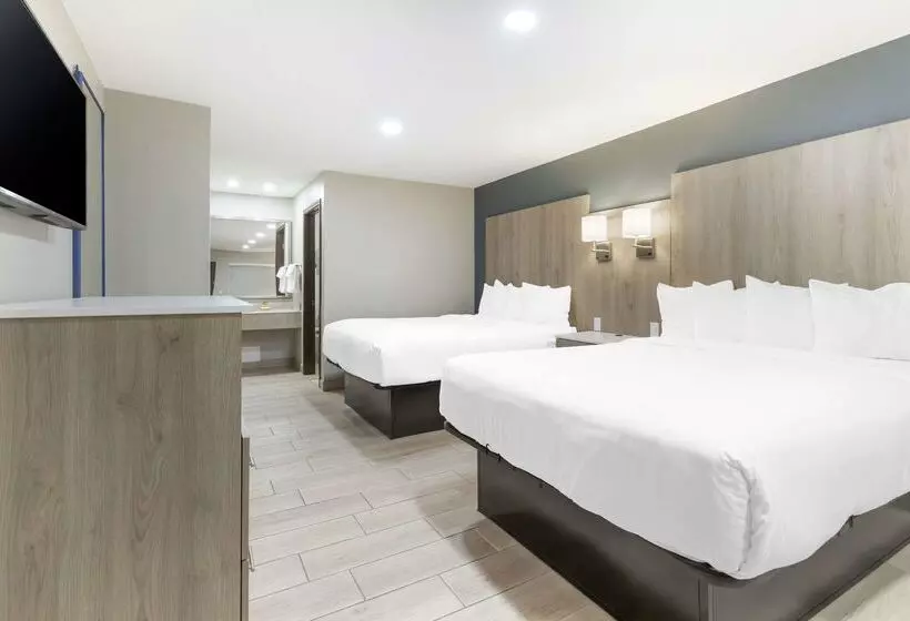 酒店 Best Western Plus Edinburg Inn & Suites