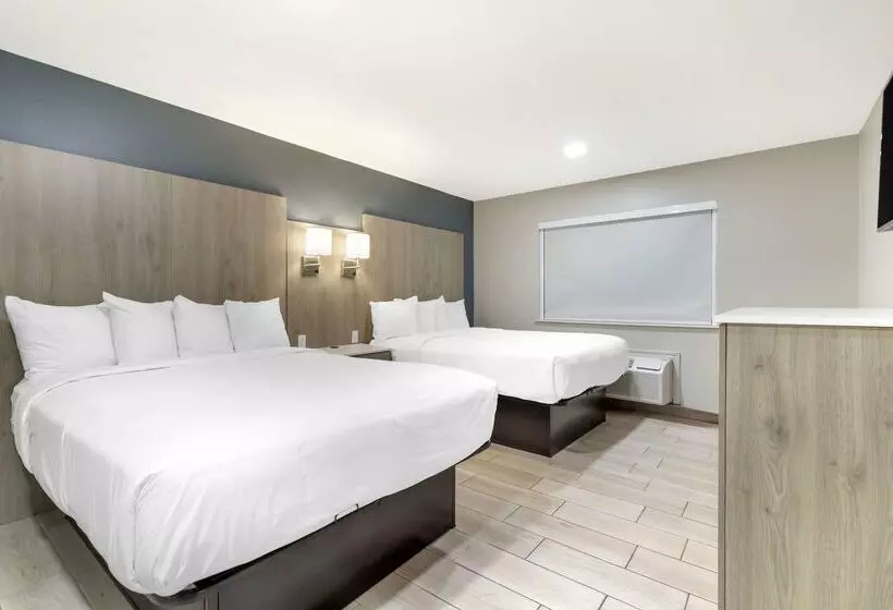 酒店 Best Western Plus Edinburg Inn & Suites