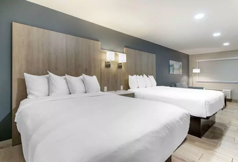 酒店 Best Western Plus Edinburg Inn & Suites