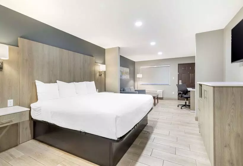 酒店 Best Western Plus Edinburg Inn & Suites
