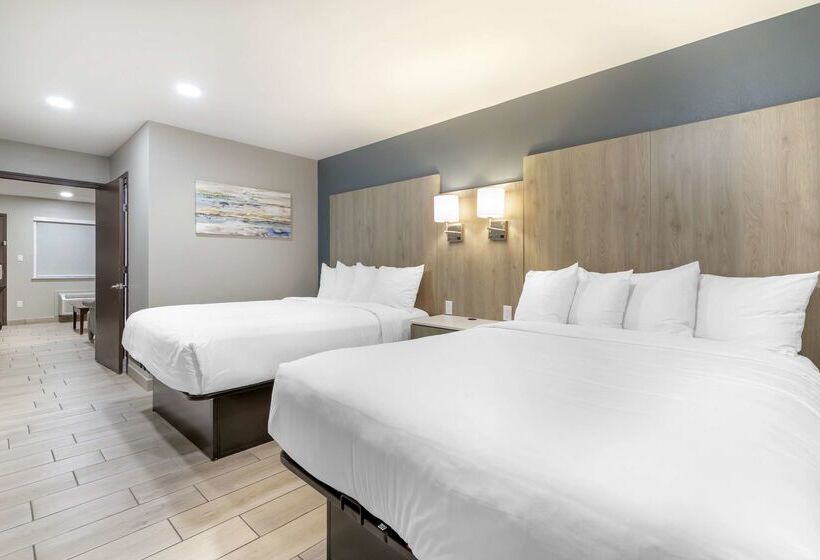 ホテル Best Western Plus Edinburg Inn & Suites