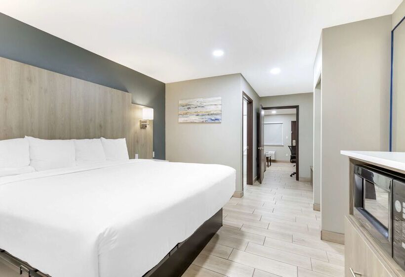 ホテル Best Western Plus Edinburg Inn & Suites