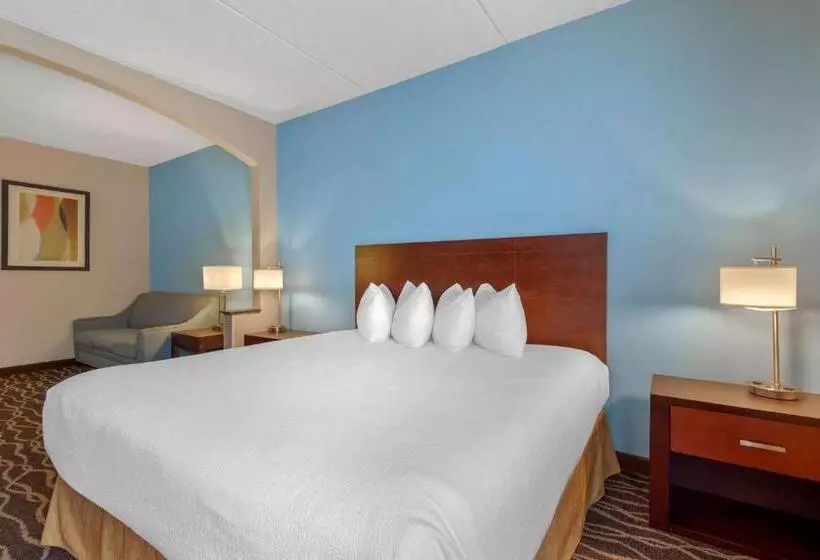 ホテル Best Western Plus Suitesgreenville