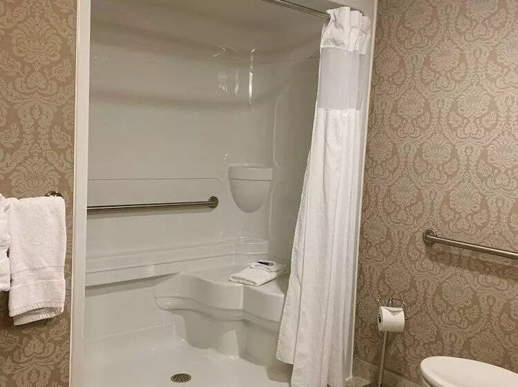 هتل Chateau Saint John Trademark Collection By Wyndham