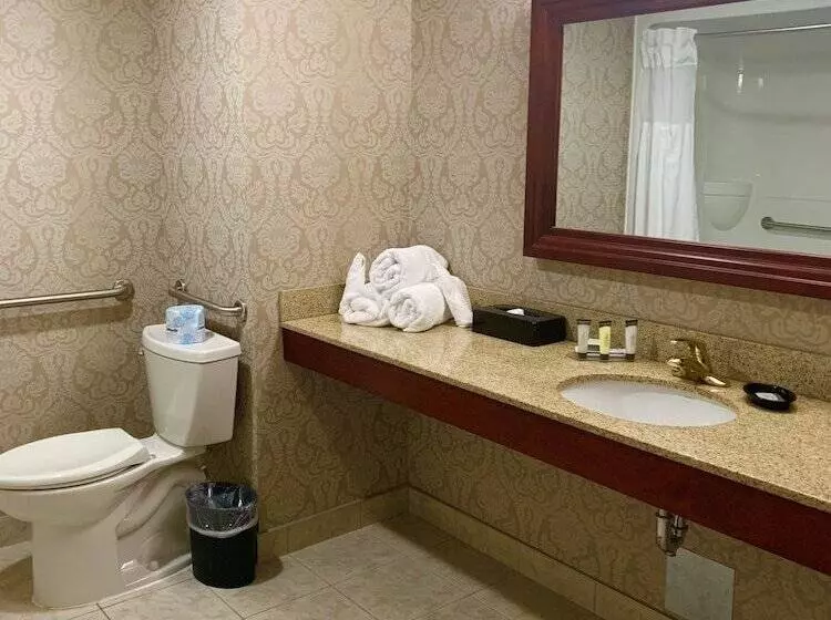 هتل Chateau Saint John Trademark Collection By Wyndham