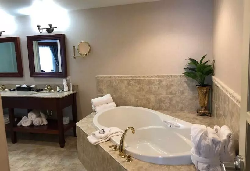 هتل Chateau Saint John Trademark Collection By Wyndham