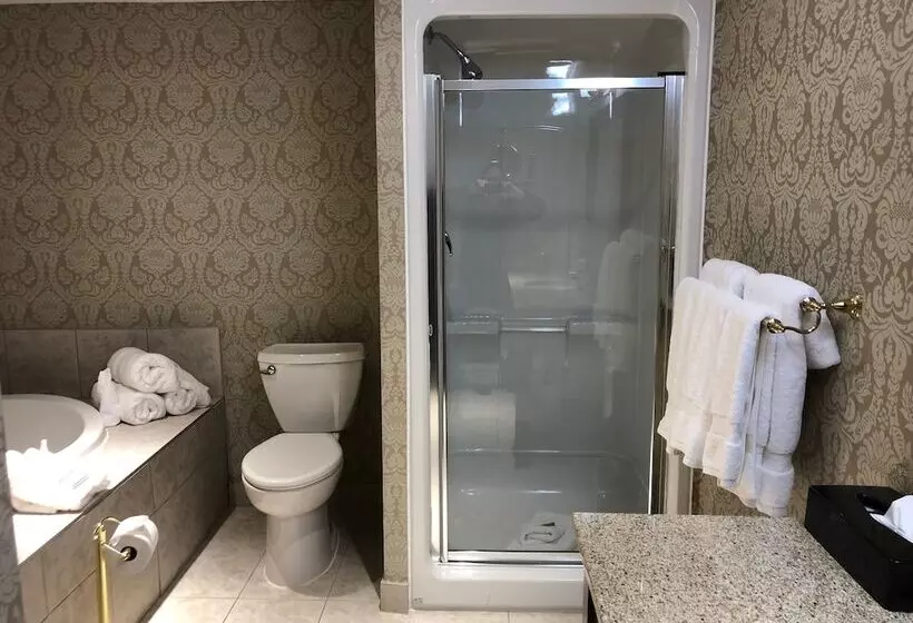 هتل Chateau Saint John Trademark Collection By Wyndham