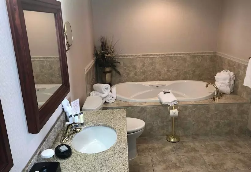 هتل Chateau Saint John Trademark Collection By Wyndham