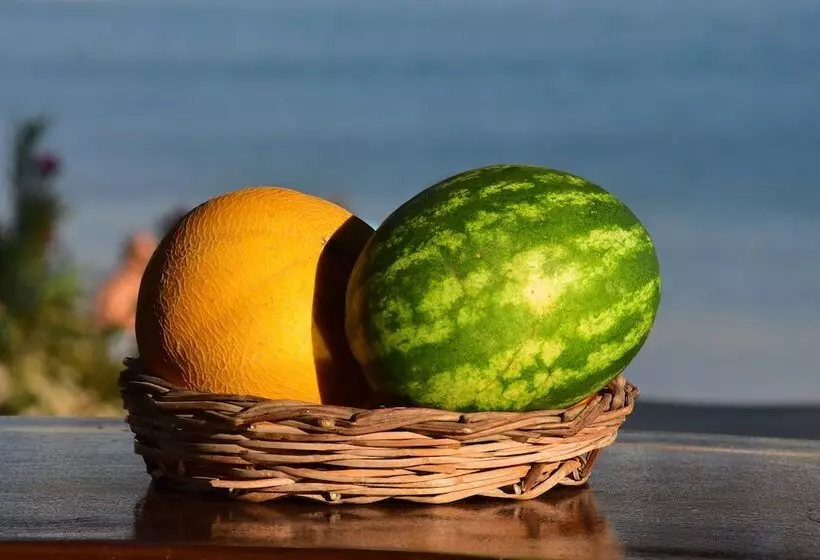 ホテル Petra Holiday Village