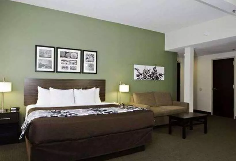 Hotel Sleep Inn And Suites Downtown Inner Harbor