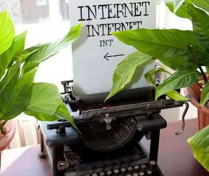 Castle Rock Hostel Adults Only