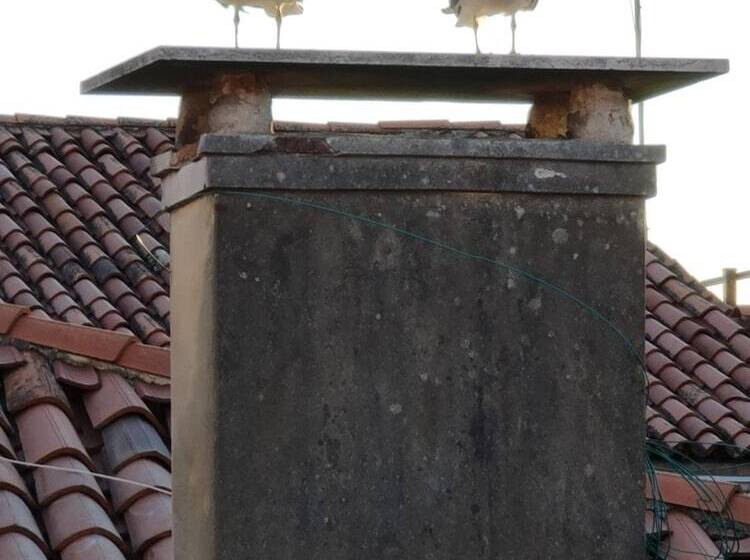 مسافرخانه Luxury Suites In Venice Friendly Venice Suites