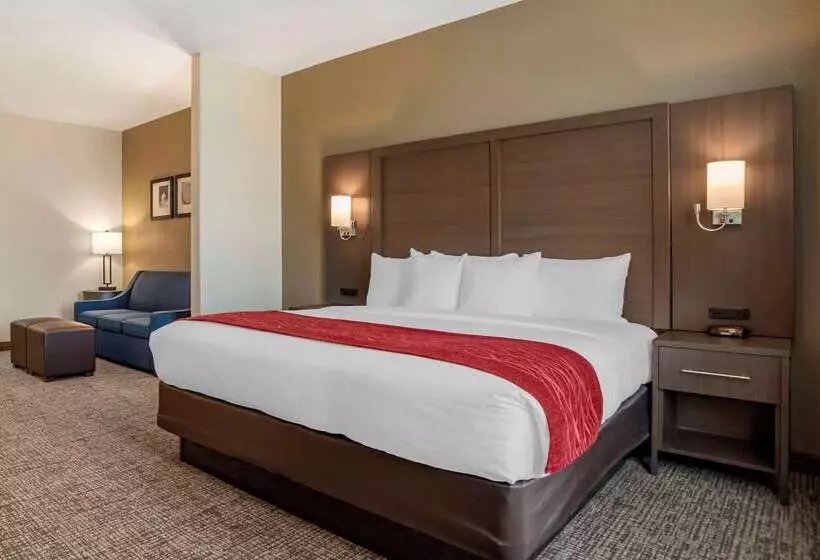 ホテル Comfort Inn & Suites Millbrookprattville