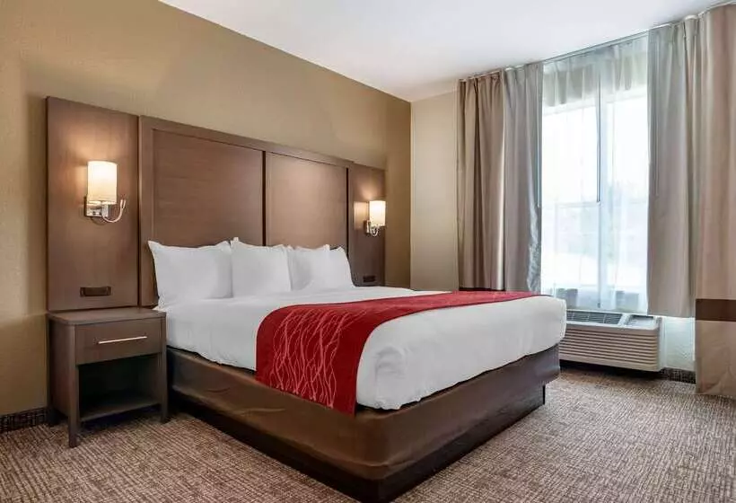 ホテル Comfort Inn & Suites Millbrookprattville