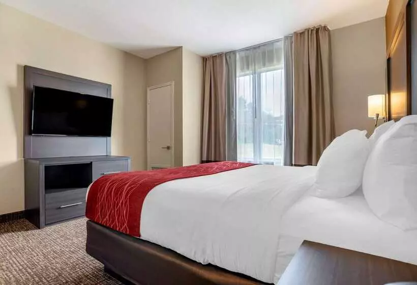 ホテル Comfort Inn & Suites Millbrookprattville