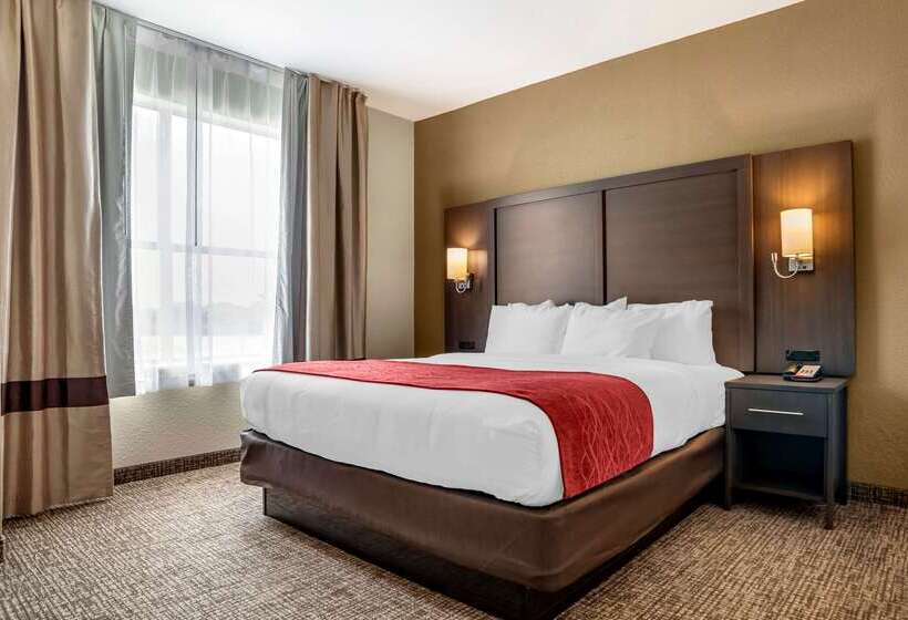 בית מלון כפרי Comfort Inn & Suites Millbrookprattville