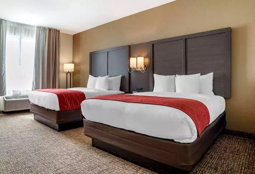 ホテル Comfort Inn & Suites Millbrookprattville