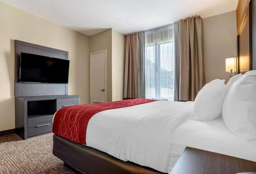 בית מלון כפרי Comfort Inn & Suites Millbrookprattville