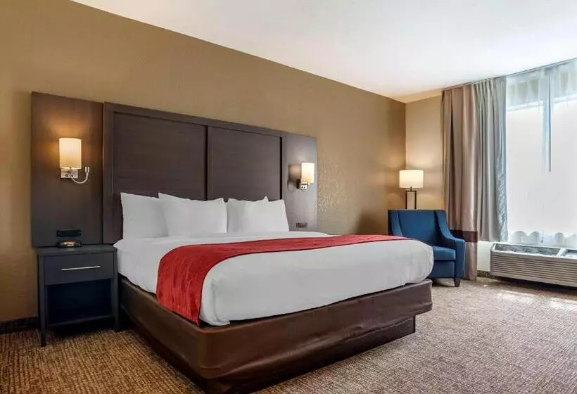 ホテル Comfort Inn & Suites Millbrookprattville