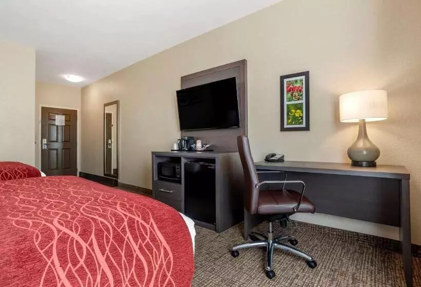 ホテル Comfort Inn & Suites Millbrookprattville